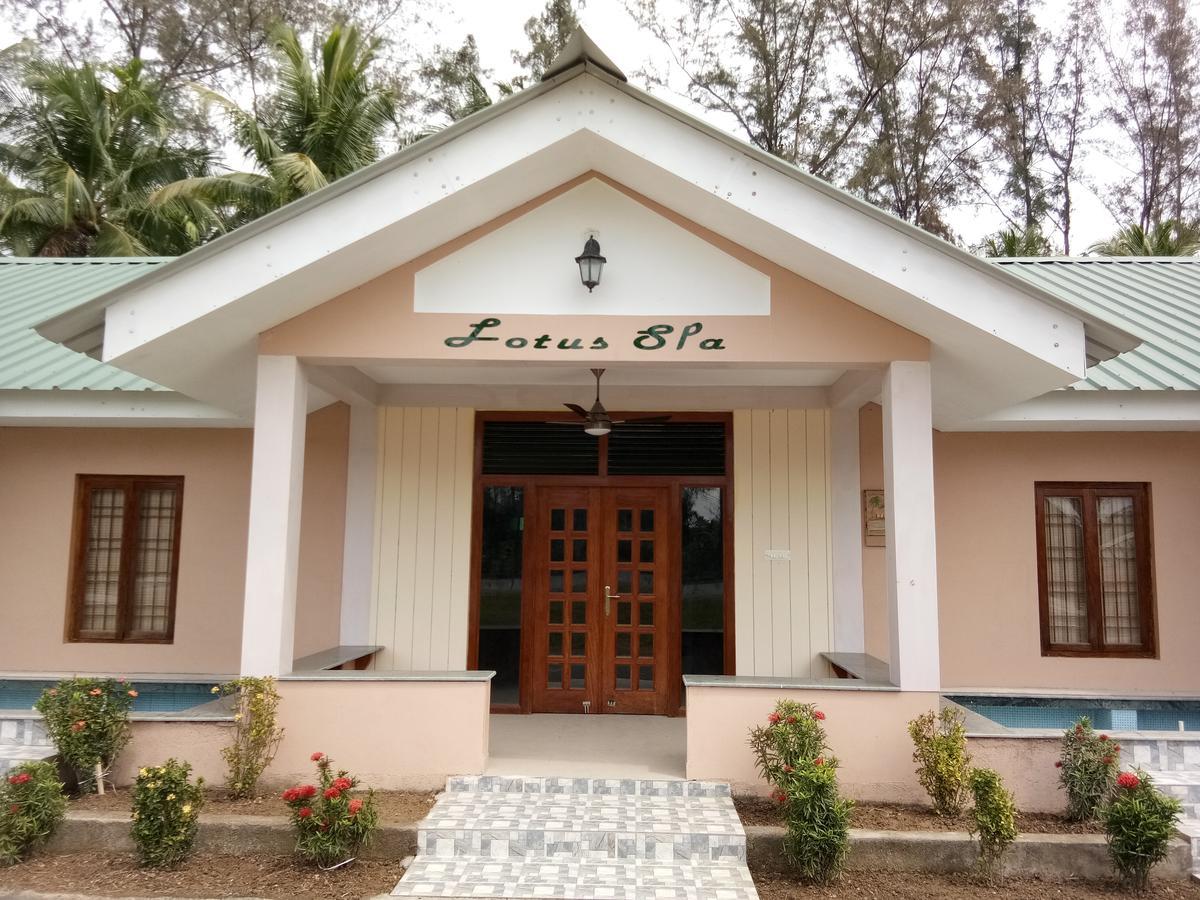 Lush Green Retreat Wandoor Extérieur photo